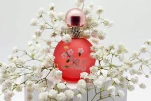 Elisabeth LAVALL - LAVALL ELISABETH